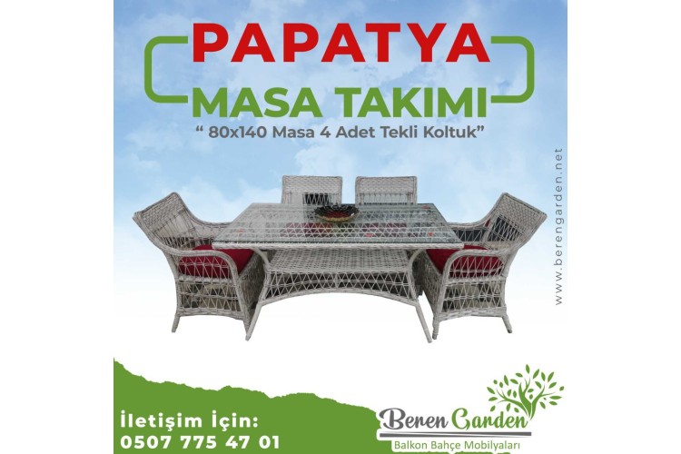 Papatya Masa Takımı